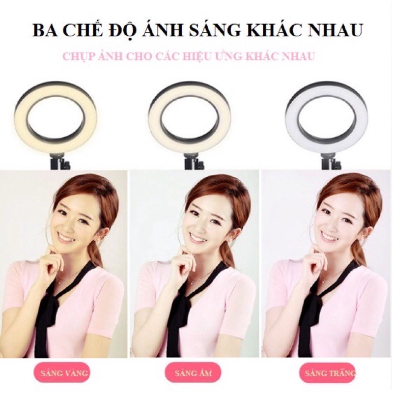 ⚡️Đèn LIVETREAM chuyên nghiệp 3in1 SIÊU HOT | BigBuy360 - bigbuy360.vn