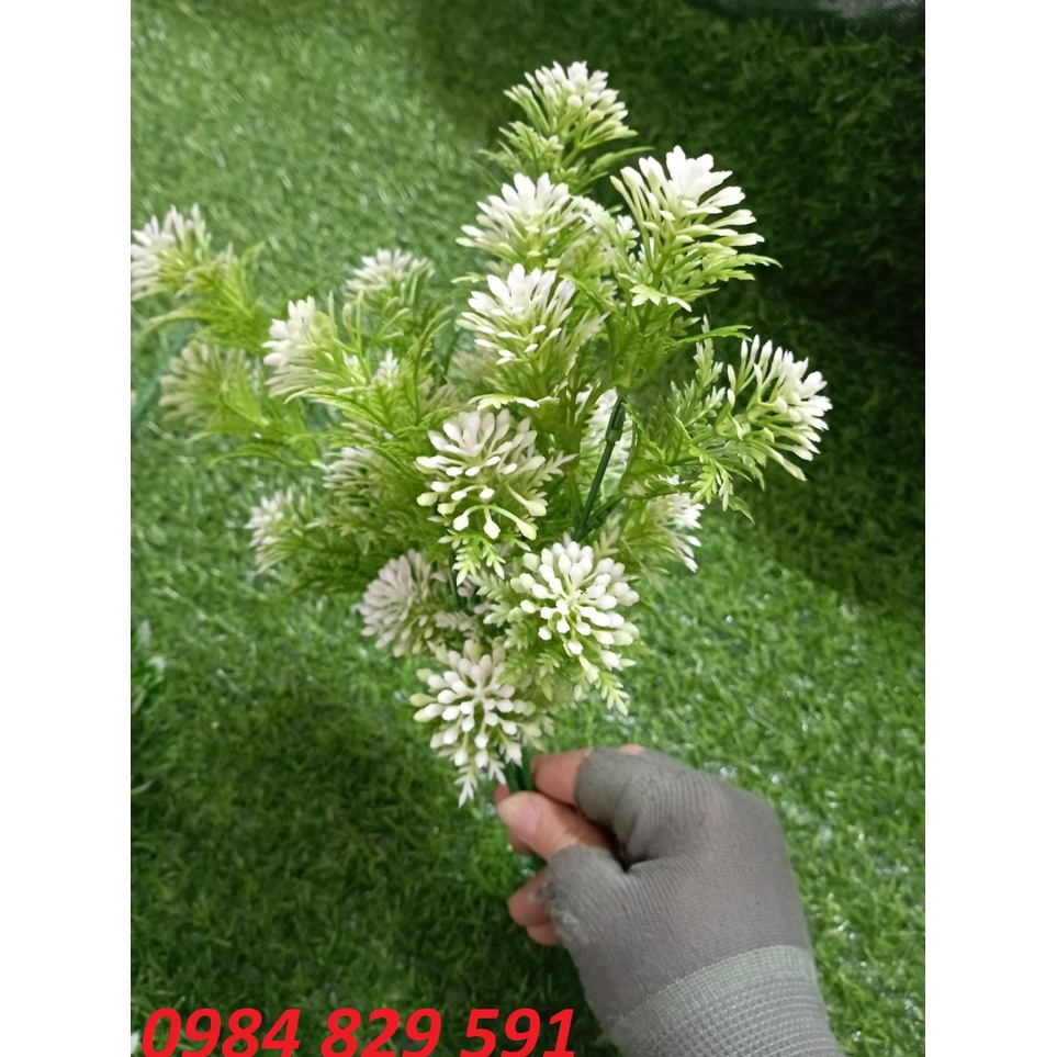 Cụm điểm hoa đá