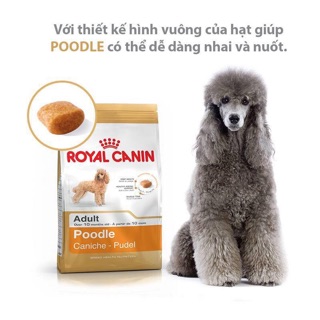 THỨC ĂN HẠT ROYAL CANIN DÀNH CHO POODLE 🐩