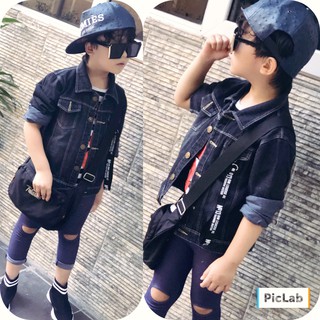 28 bộ bò