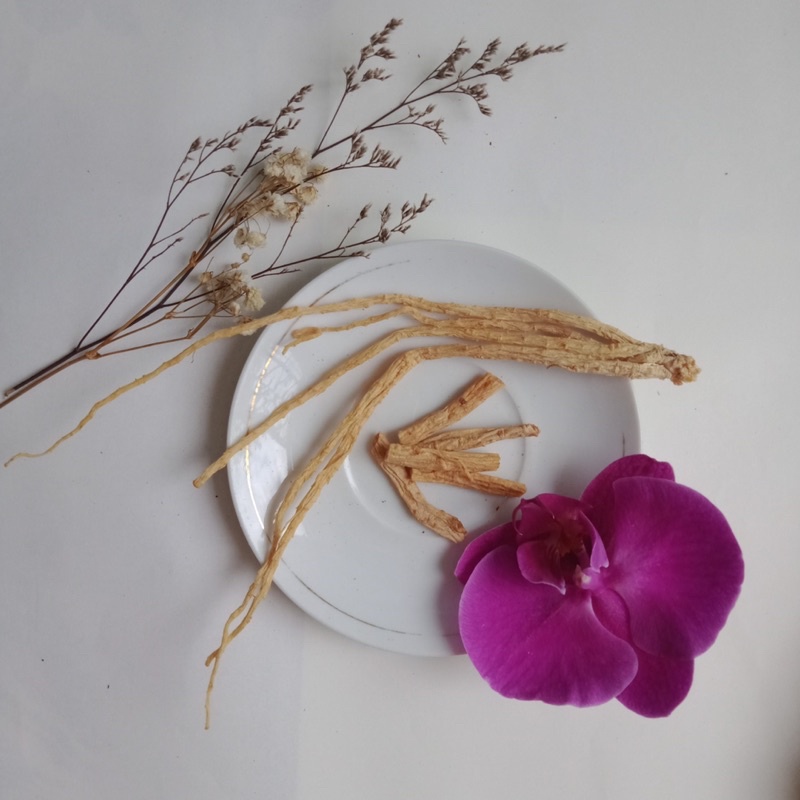 Mẫu Dược Liệu - Free - sinh viên Y Dược Cần Thơ