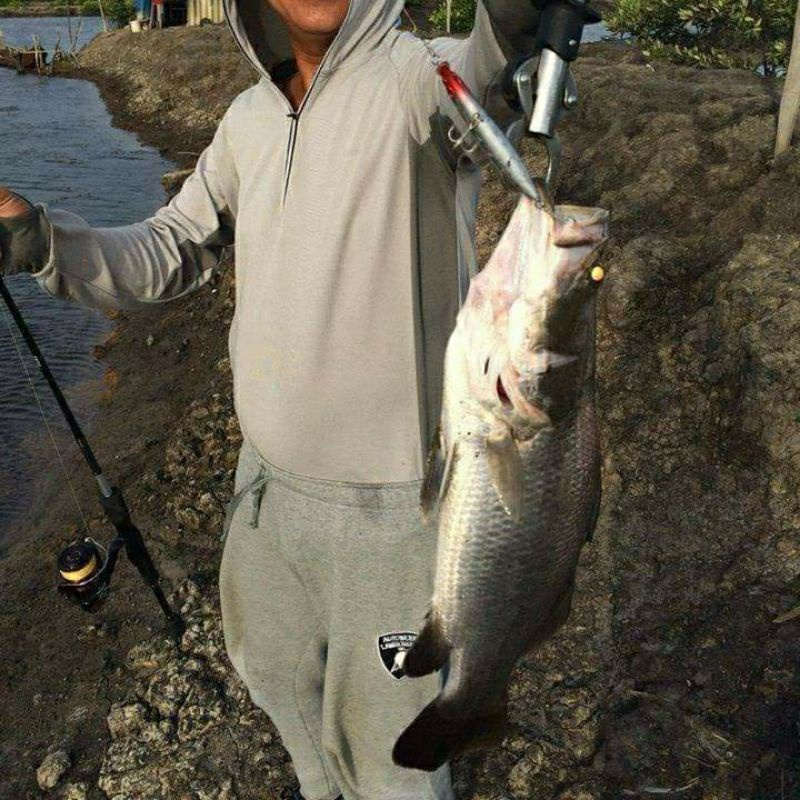 Mồi câu Bearking, Tsurinoya DW18 10g 90mm 0-0,6m