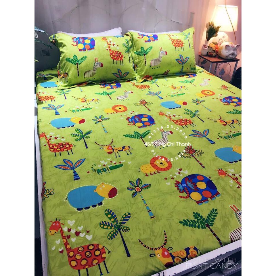 Bộ ga giuong cotton