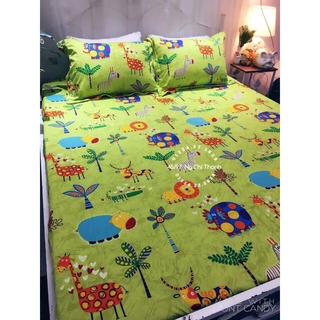 Bộ ga giuong cotton