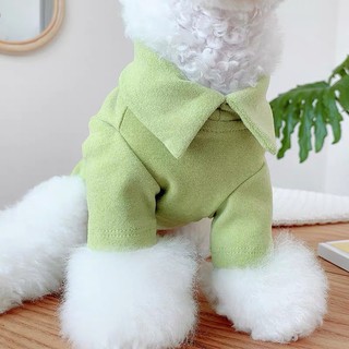 Áo cổ trơn cổ bẻ cho thú cưng