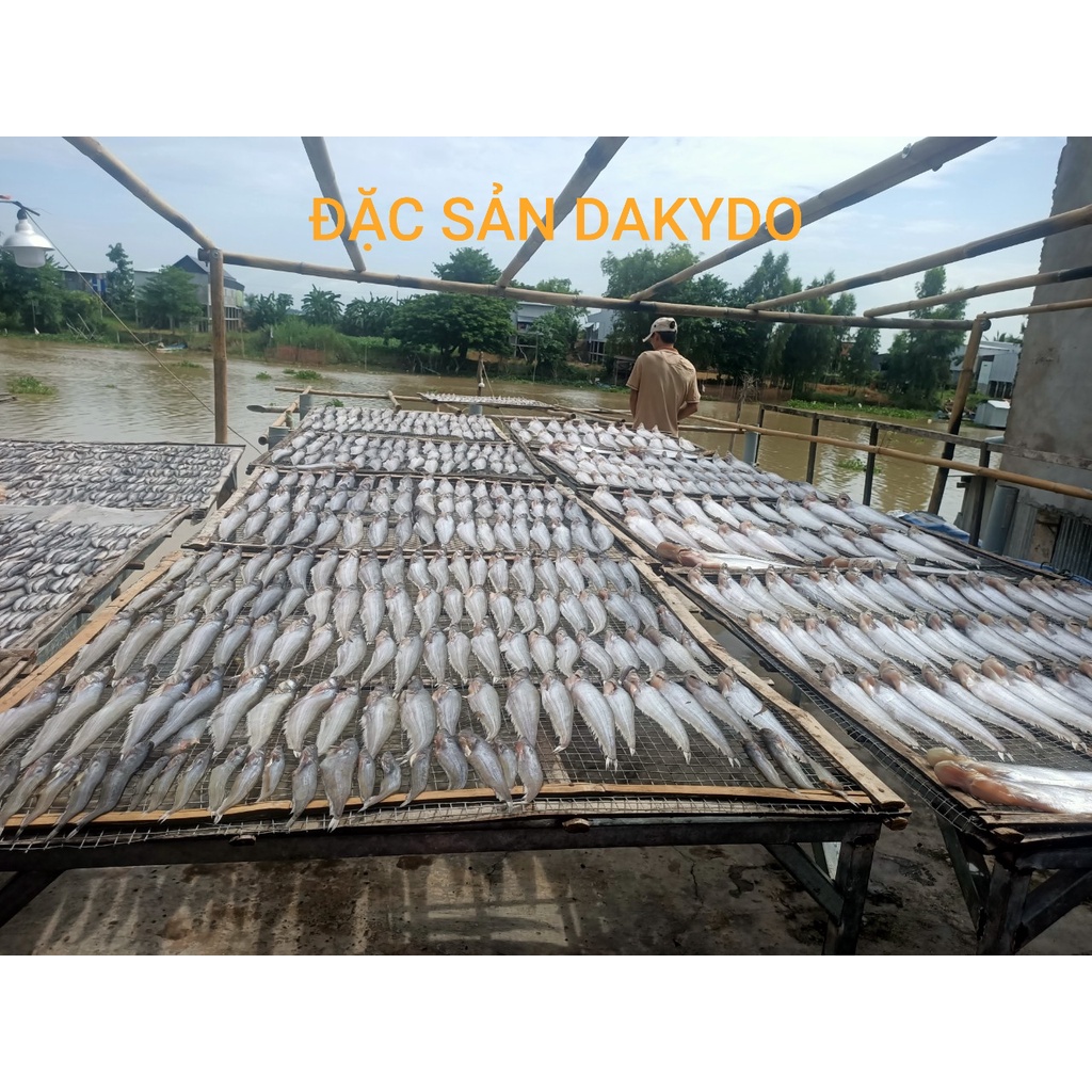 Khô cá trèn (chèn, kết) con lớn, khô 2 nắng,1kg, thương hiệu đặc sản Dakydo (An Giang), ăn là ghiền!
