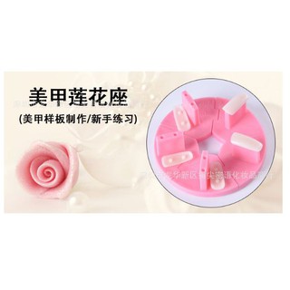 Hộp 5 đế tập sơn móng