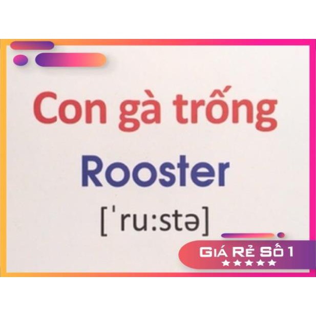 Thẻ học thông minh Song Ngữ Anh Việt - Thẻ Học Flashcards Thông Minh Song Ngữ Bibo Chủ đề Động vật nuôi