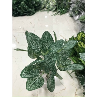 cụm lá 7 nhánh
