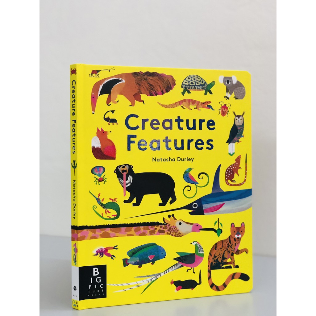 Sách: Creature Features - Sách Đặc Điểm Sinh Vật - Học Giỏi Toán