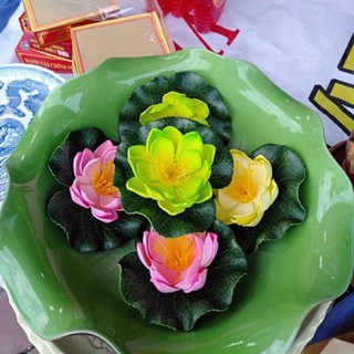 Hoa sen thả bát,hoa xốp