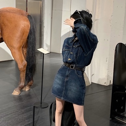 Đầm Denim Tay Dài Ôm Eo Cài Một Hàng Khuy Thời Trang Mùa Thu Phong Cách Hàn Quốc Cho Nữ