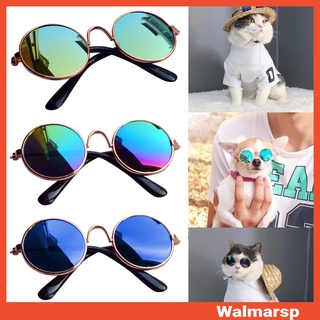 Kính mát dùng để làm đạo cụ chụp hình cho thú cưng