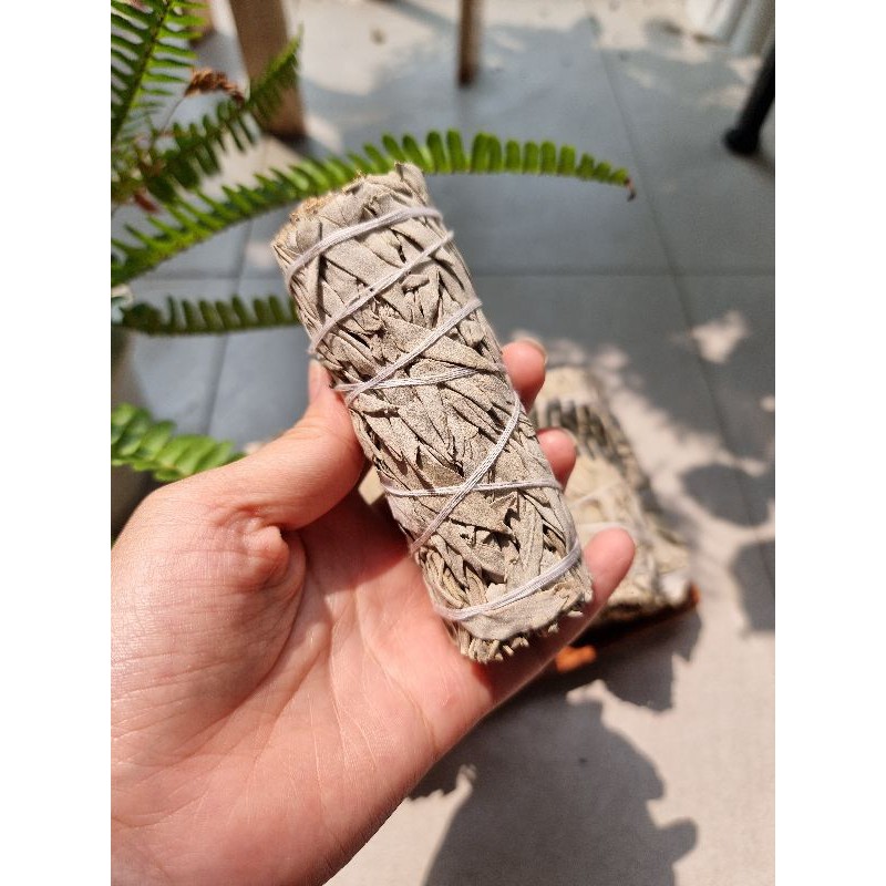 Xô thơm ( white sage) thanh tẩy không gian, bài tarot | BigBuy360 - bigbuy360.vn