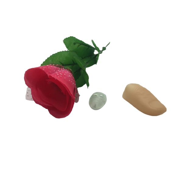 Ảo thuật hoa hồng đèn dlite loại cao cấp nút bấm nhạy pin trâu