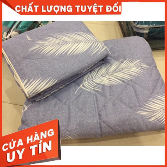 Ga gối Drap Thắng Lợi 100%cotton chính hãng