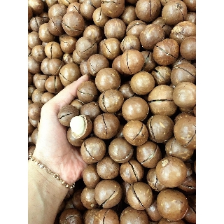 500g Hạt macca daklak loại 1
