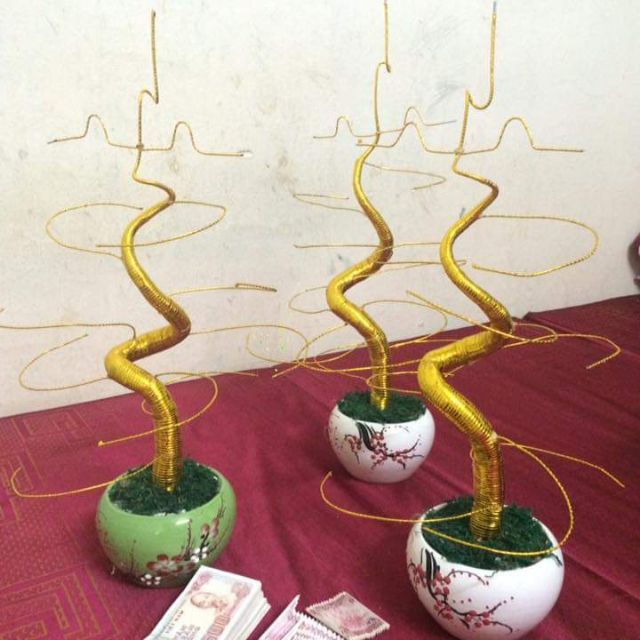 Set nguyên liệu làm cây tài lộc