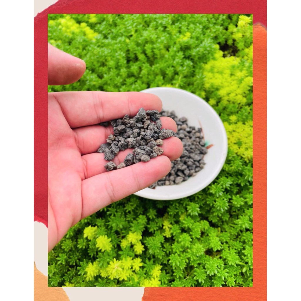 ĐÁ NHAM THẠCH ĐEN (1kg)  SIÊU PHẨM CHO SEN ĐÁ, XƯƠNG RỒNG