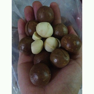 Macca mỹ