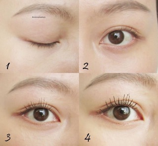 Mascara Shiseido Majorca Lash King