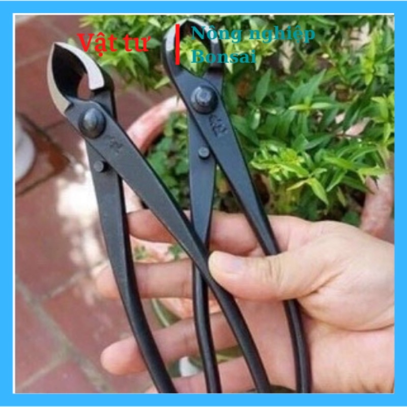 Kìm- Cạp cây cảnh- Cạp tròn- cạp chéo - Dụng cụ khoét tạo sẹo cây cảnh