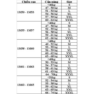 Áo Dài Lụa H10