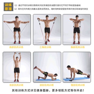 Dây Đàn Hồi Tập Cơ Tay