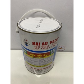 Sơn chịu nhiệt cho ống khói và lò hơi Hải Âu Màu bạc 600 độ 5Lit/Lon (SK6-950)