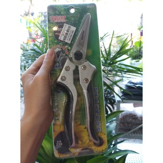 Kéo cắt cây thanh long kiểu 8S01