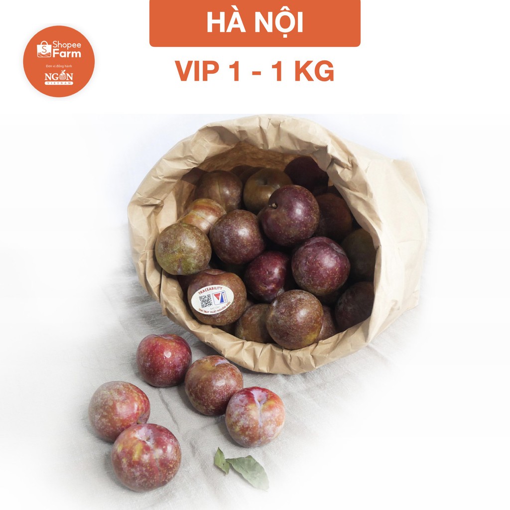 [HN] 1KG VIP 1 MẬN HẬU SƠN LA GIÒN TƯƠI CHÍN MỌNG