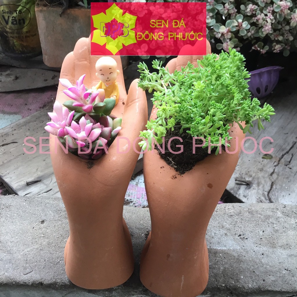 CHẬU ĐẤT NUNG HÌNH BÀN TAY - chậu trồng tiểu cảnh sen đá, xương rồng, cây phong thuỷ văn phòng đẹp
