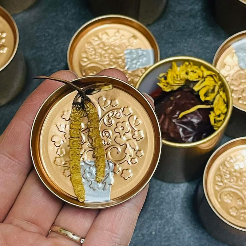 Đông trùng hạ thảo nguyên con Tây Tạng 3 con 1 gam