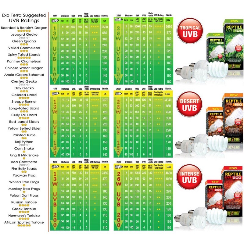 Đèn UVB 10.0 dành cho bò sát Exoterra