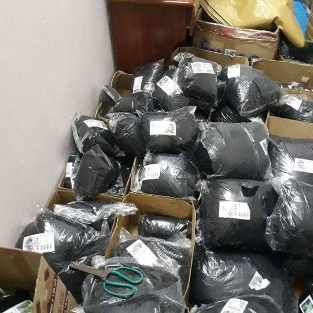 rẻ ok - chất lượng hoàn hảo -Lưới bẫy chim 5 Phân cao 5m dài 15m chuyên bắt chim sẻ chào mào cho, họa mi ,khướu ,sẻ