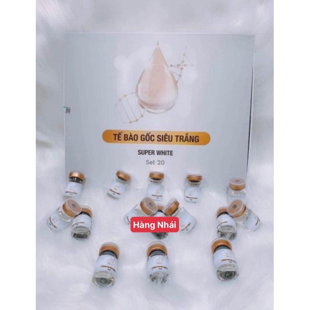 Tế Bào Gốc Siêu Trắng SUPER WHITE Loại 1 Nắp Trắng