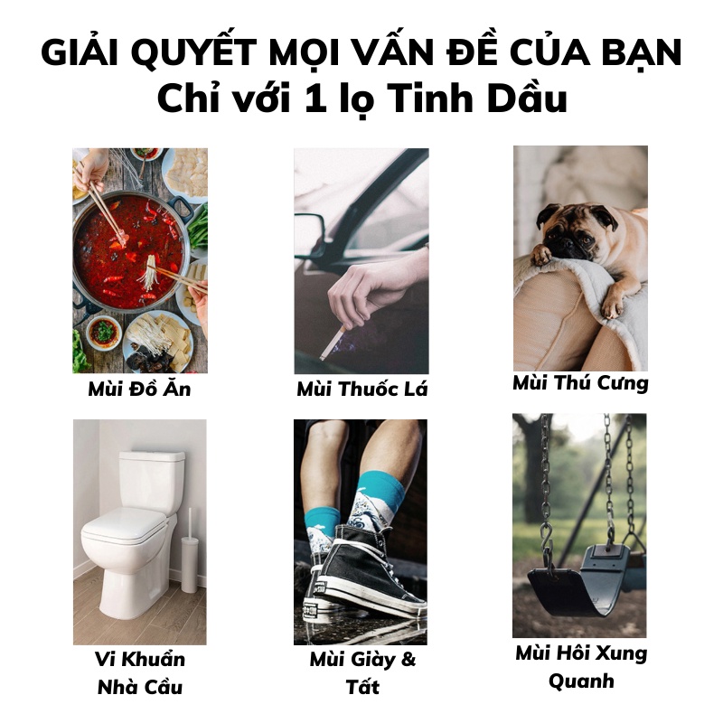 Tinh dầu thơm phòng nước hoa ô tô cao cấp có que gỗ tự khuếch tán chất liệu thiên nhiên tặng đá phát sáng ban đêm UBAVN