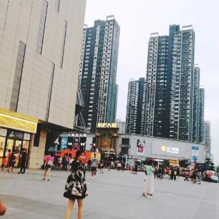 Áo sơ mi hạc ( Hàng order ) hagauorder
