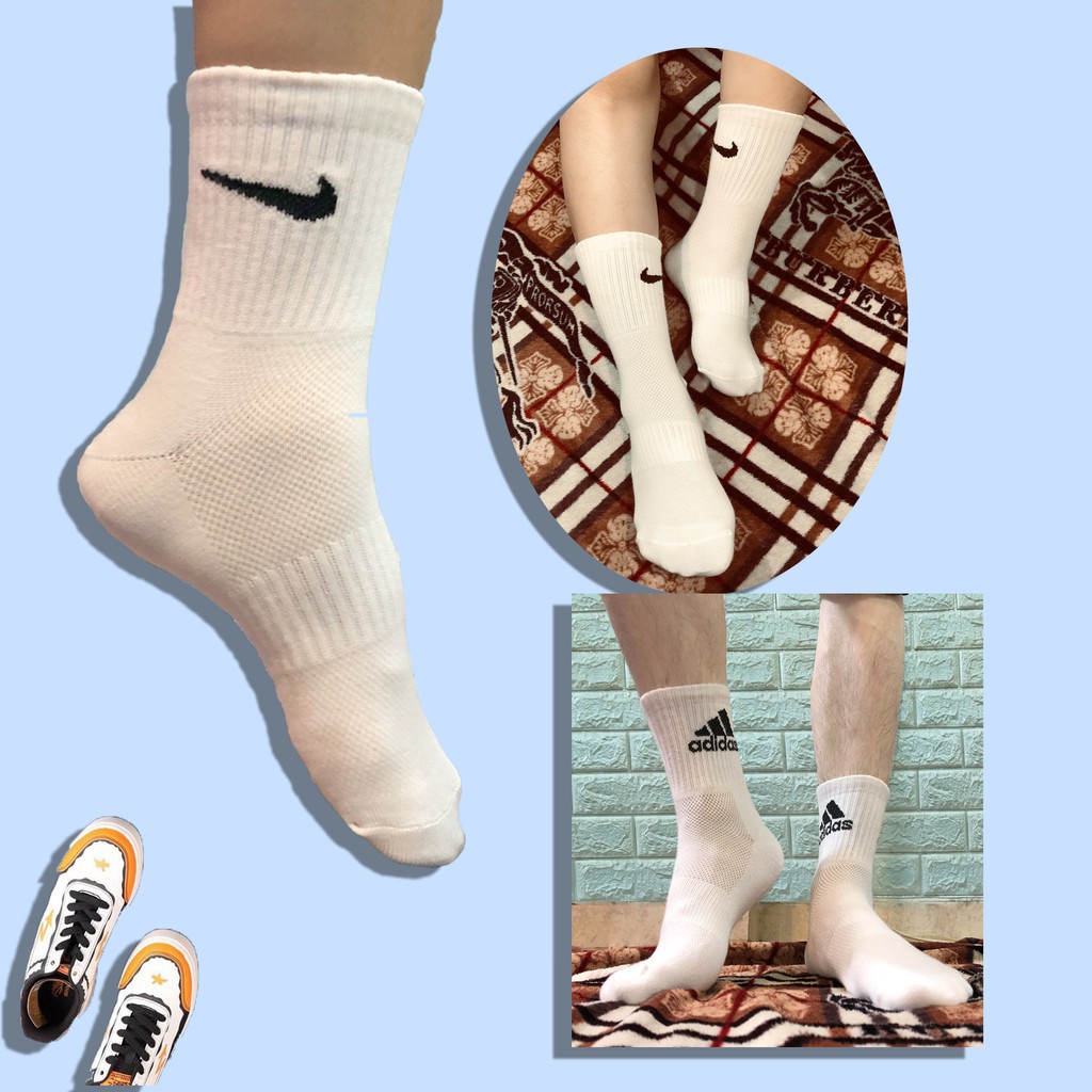 Áo thun Polo nam vải Cotton ,chuẩn form, trẻ trung, năng động | BigBuy360 - bigbuy360.vn