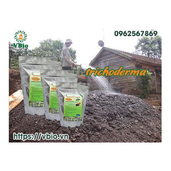 3 túi TRICHODERMA CHẾ PHẨM MEN VI SINH NẤM - 1kg/túi
