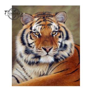 Bộ Tranh Đính Đá 5D Tự Làm 30x40cm Hình Con Hổ Độc Đáo Đẹp Mắt Kèm Phụ Kiện