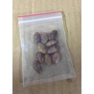 Hạt giống cây thần kỳ