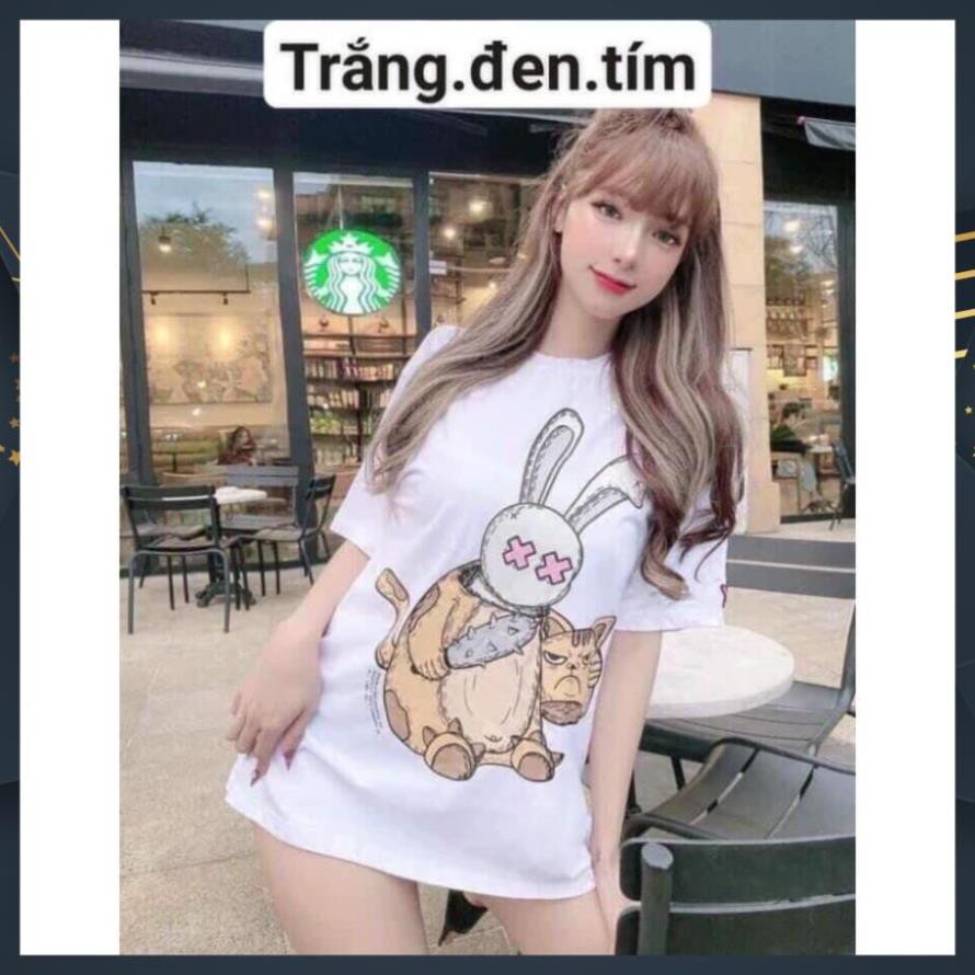 Áó Thun Nữ , Áo Phông Nữ Hình Thỏ Freesize 100% cotton Hàng Qc Loiạ1