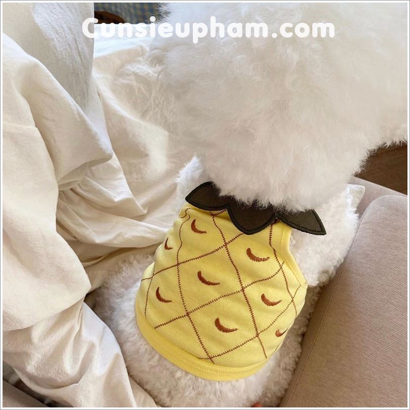 Áo thun dâu tây / quả dứa đáng yêu cho chó mèo