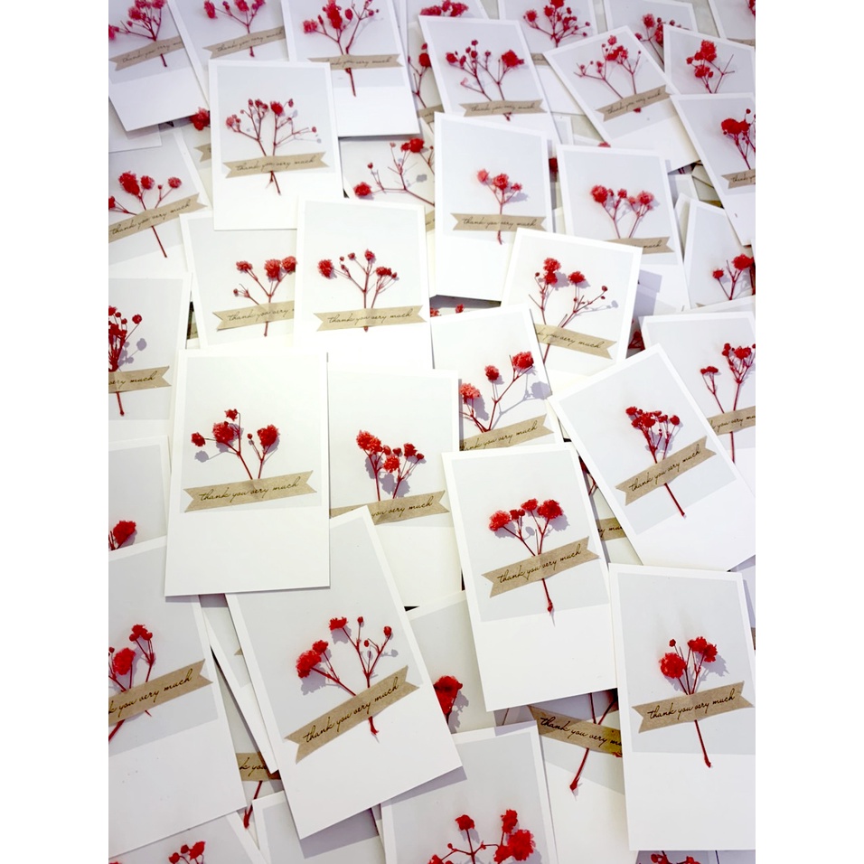 50 Thiệp, card cảm ơn HOA KHÔ, HOA THẬT