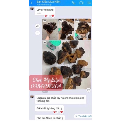 NẤM BẠCH DƯƠNG - NẤM CHAGA NGA