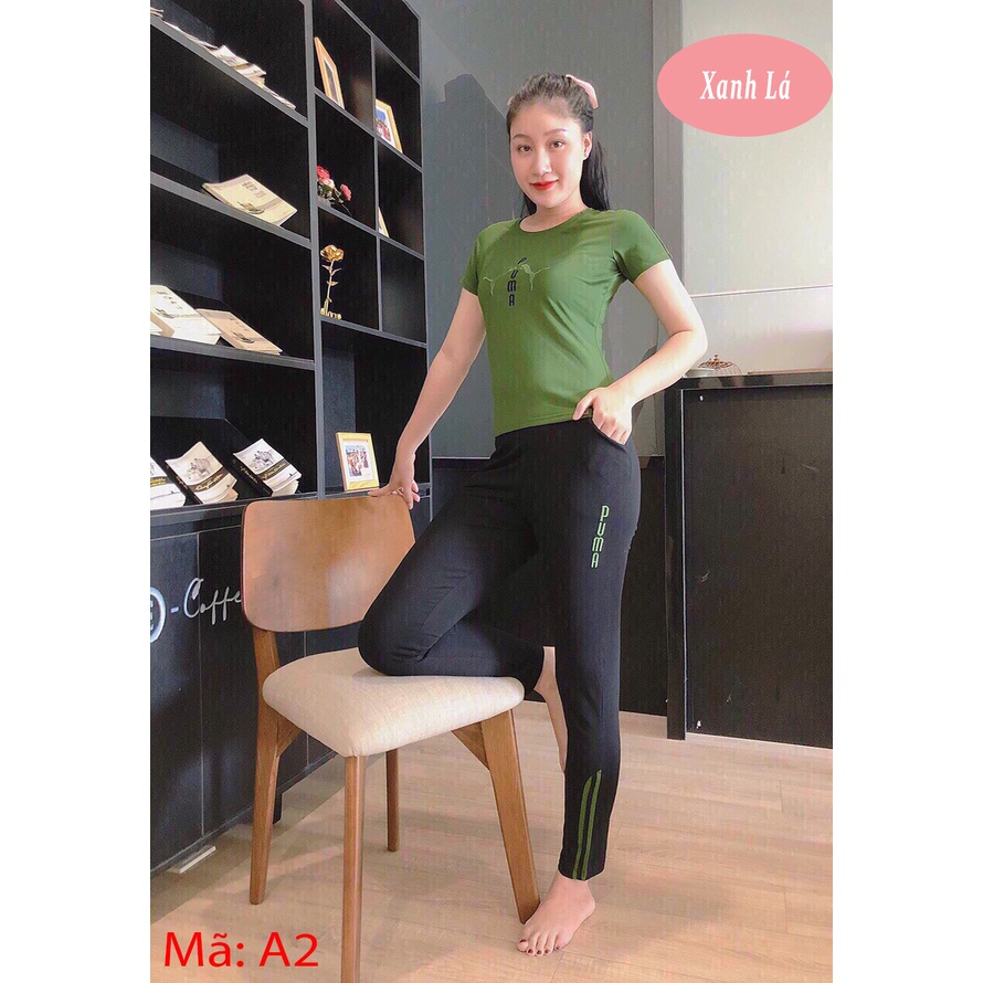 Đồ bộ thể thao chất cotton quần dài áo cộc