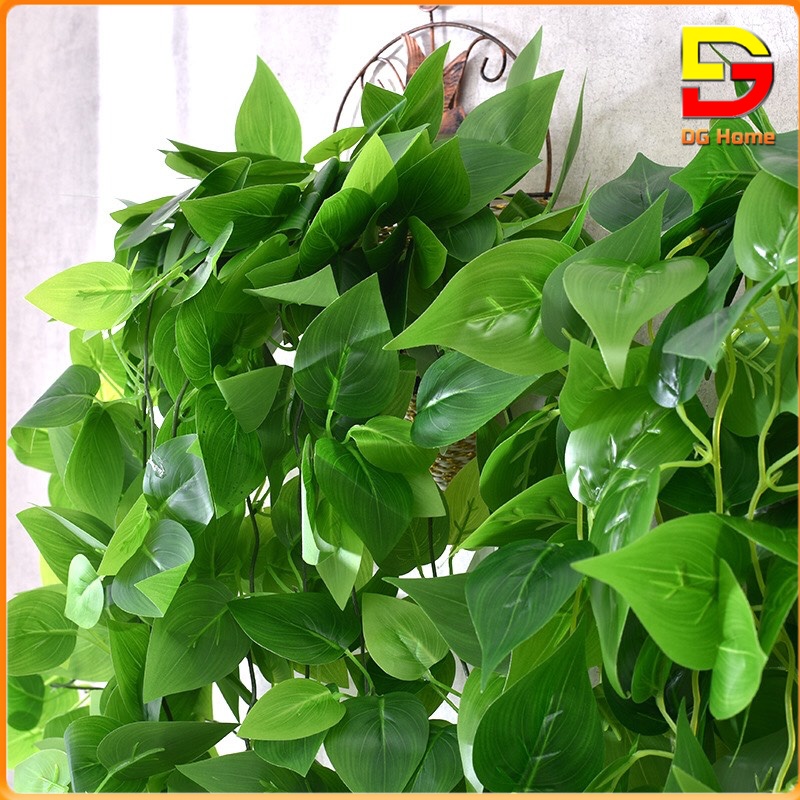 Giỏ Dây Leo Treo Tường Nhiều Mẫu Độc Đáo Đã Cắm Sẵn Dài 90cm Tặng Móc 3D DC-46