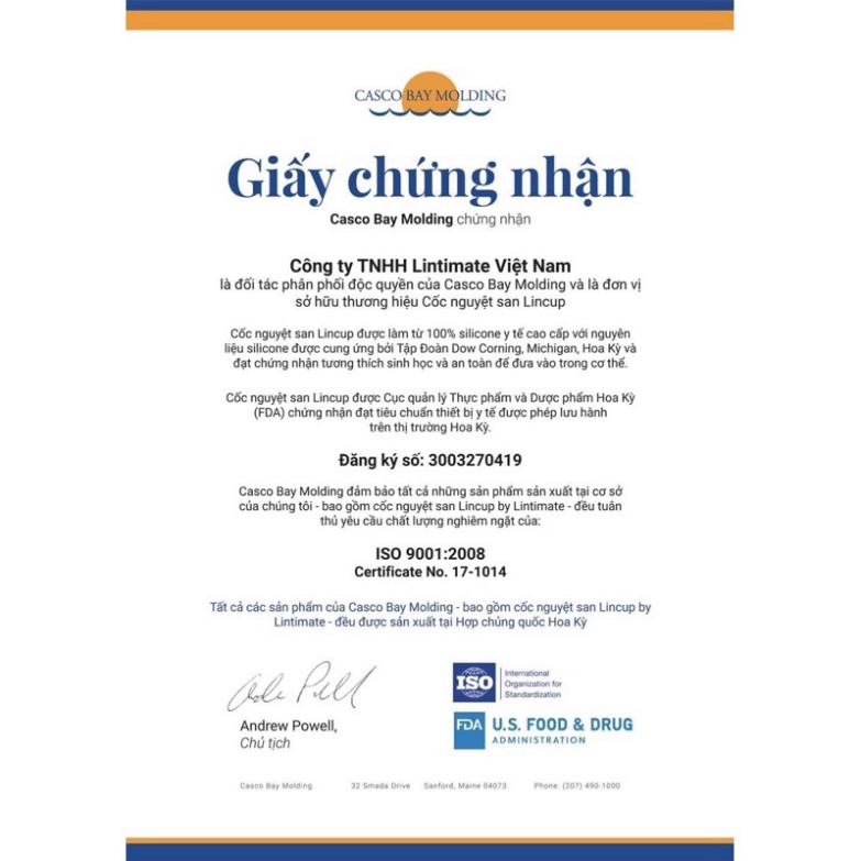 Cốc nguyệt san đủ size