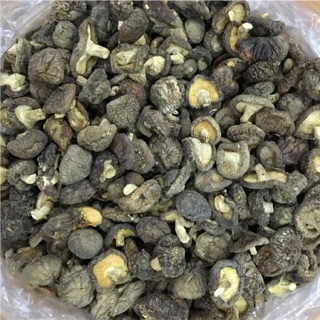 Nấm hương rừng Sapa loại rời